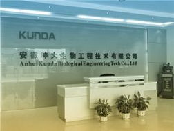 一呼百應(yīng) 技術(shù)賦能，智聯(lián)未來(lái)——上海技術(shù)咨詢頻道解析